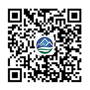 微信咨询